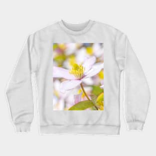 Spring Flora Crewneck Sweatshirt